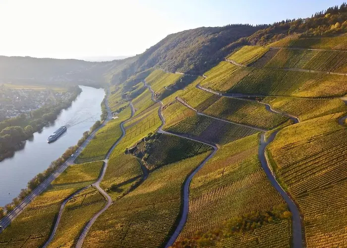 Mosel & Mehr * 베른카슈텔쿠에스