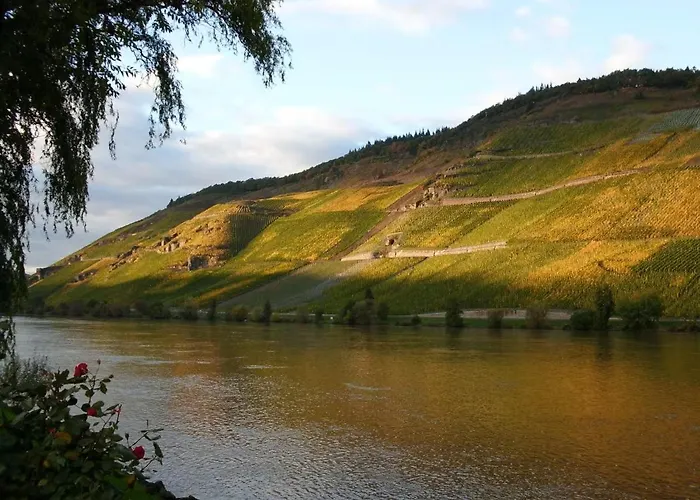 아파트 Mosel & Mehr *